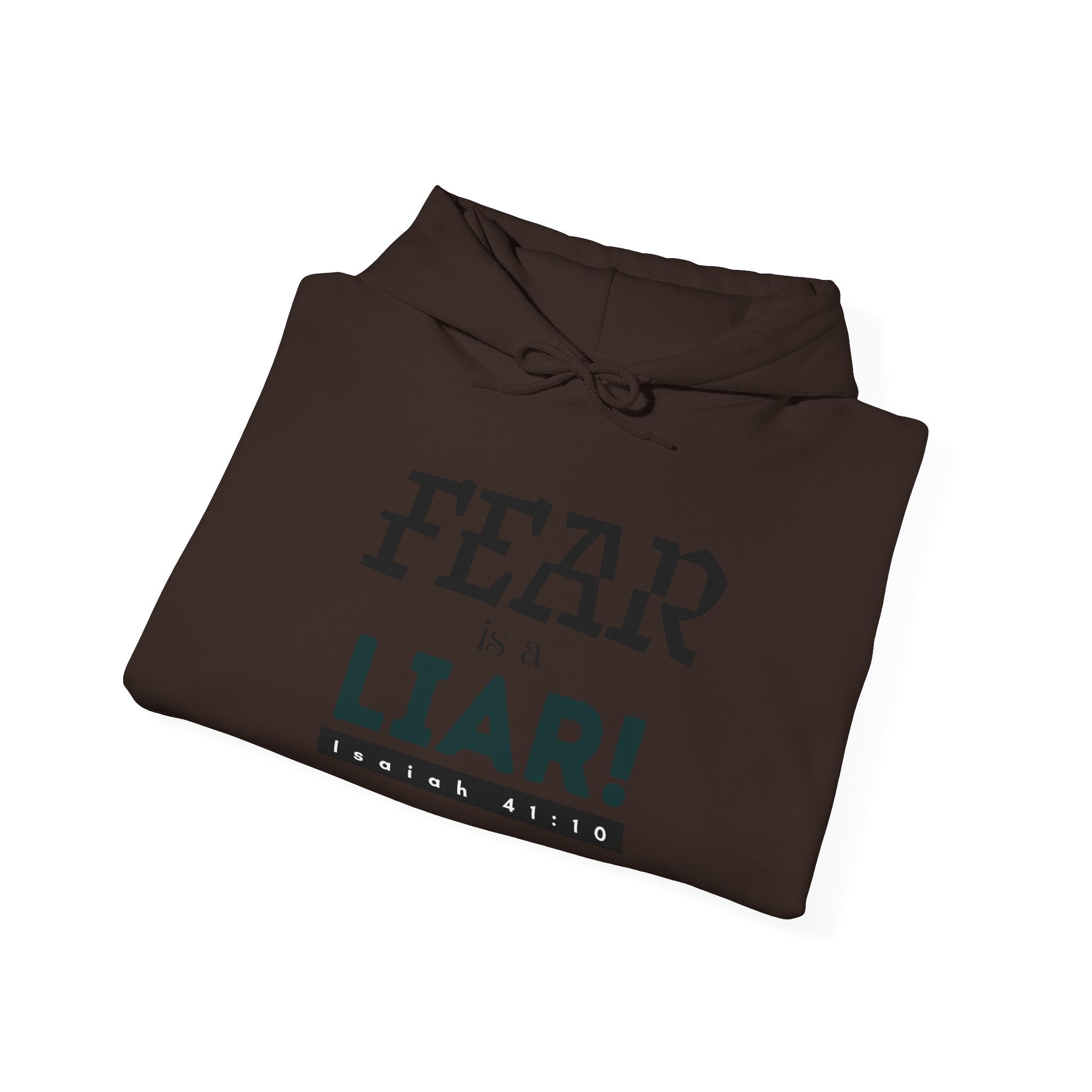 Fear Is a Liar Hoodie — Inspirational Christian Faith Sweatshirt