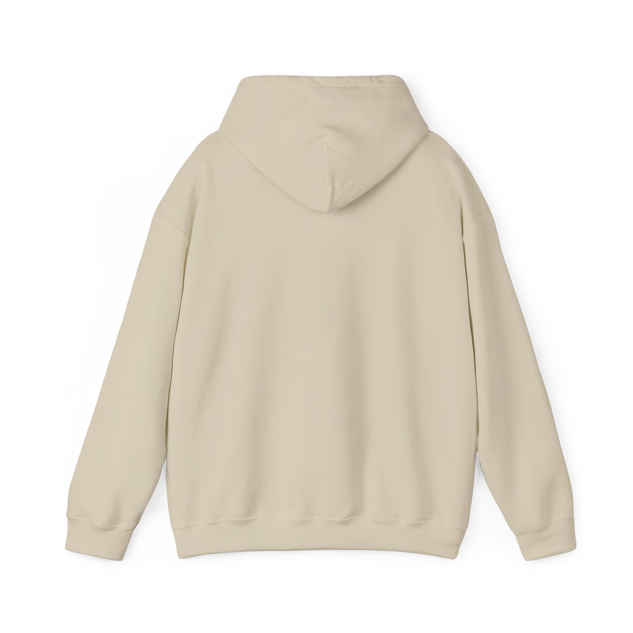 Christian Hoodie with Light of the World and Cross Design – Faith Comfort Sweatshirt