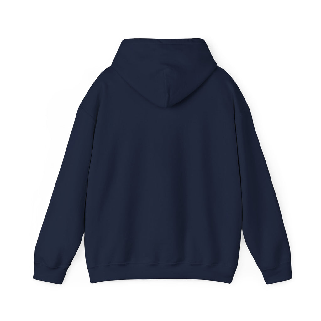 Hoodie - "Certified Light of the World" Christian Hoodie