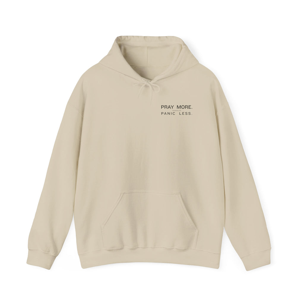 Minimal 'Pray More, Panic Less' Hoodie — Monochrome Graphic Back Print