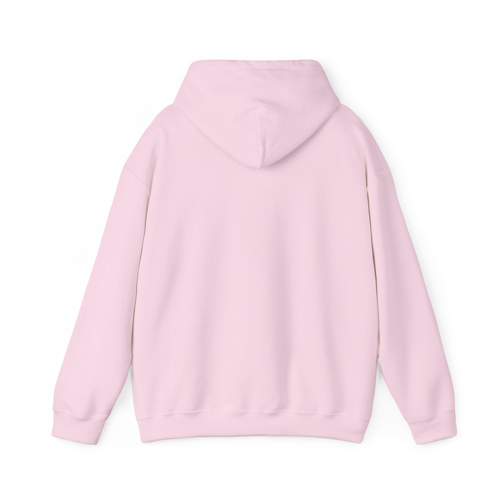 Hoodie - "Certified Light of the World" Christian Hoodie
