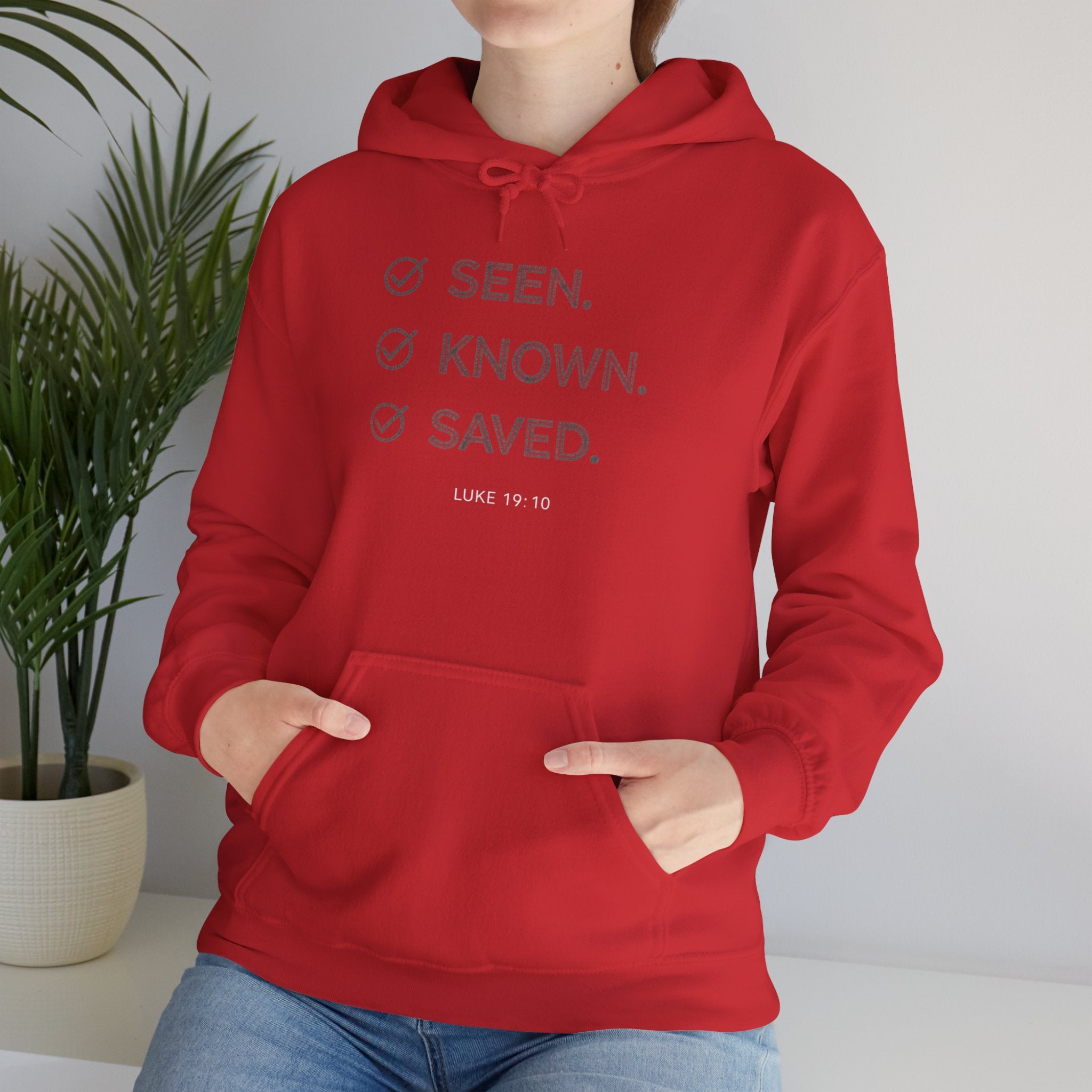 Seen. Known. Saved. Hoodie — Christian Faith Pullover (Luke 19:10)